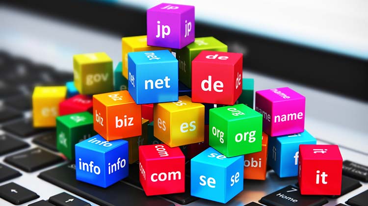WordPressを利用したサイトに必要な独自ドメイン